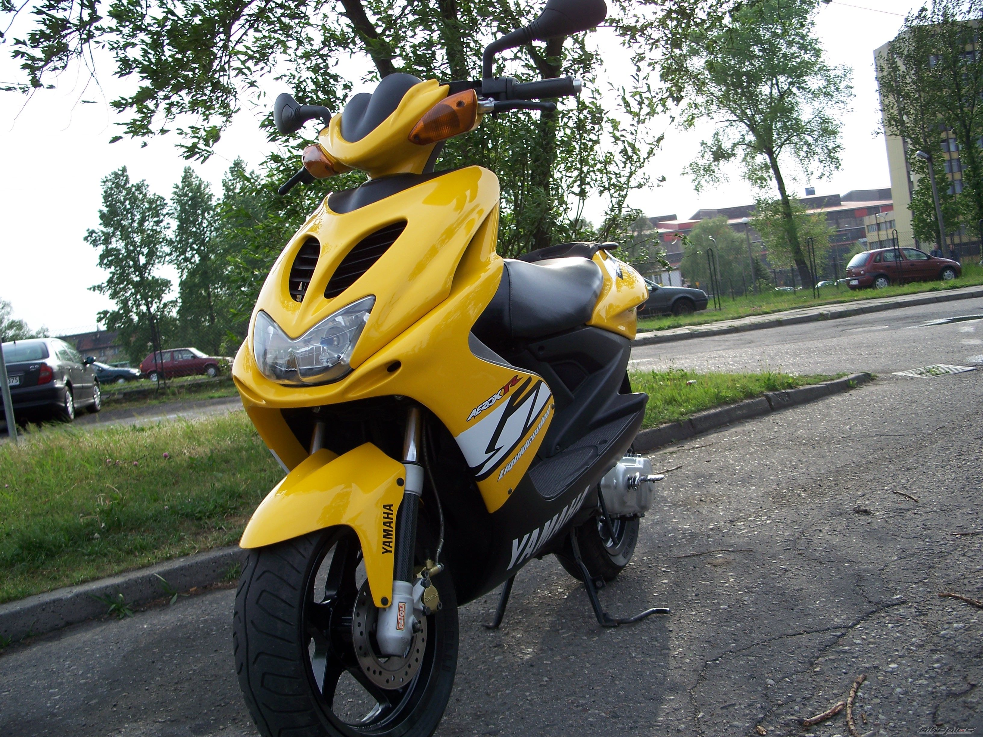 Photo 919148