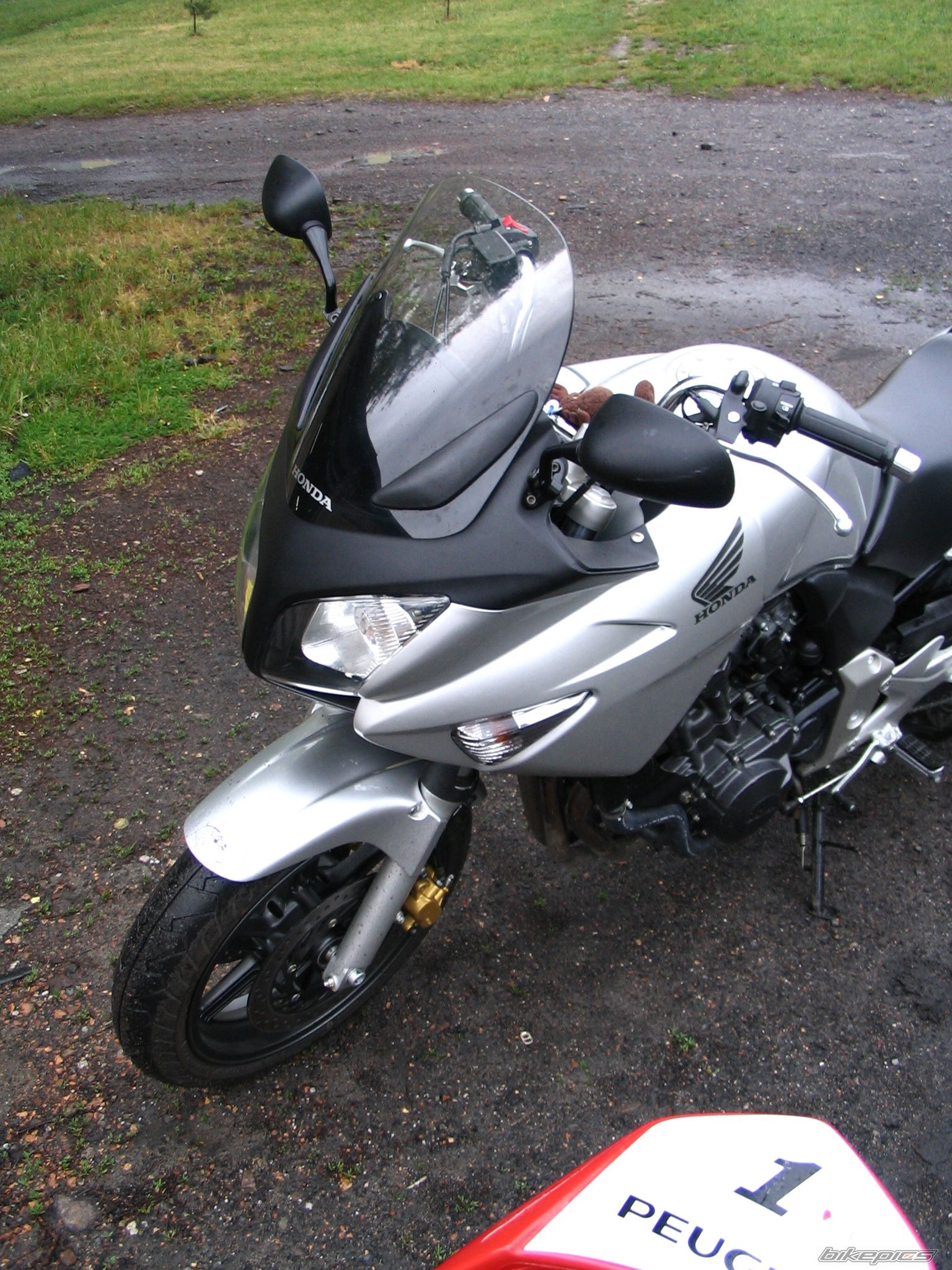 Photo 919173