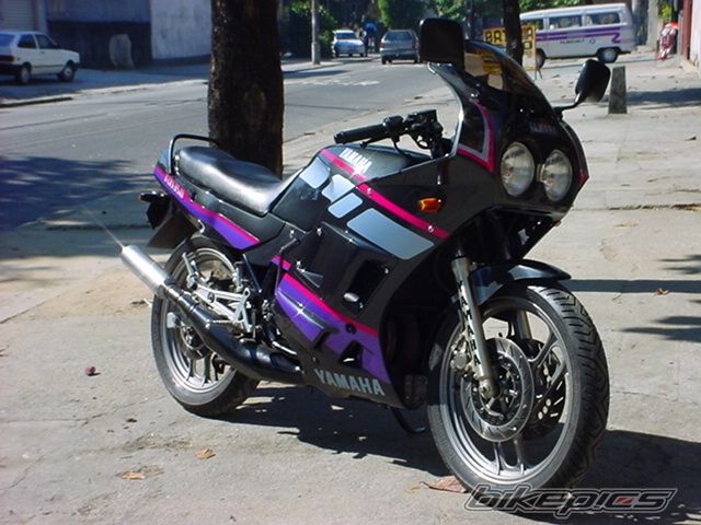 Photo 919179