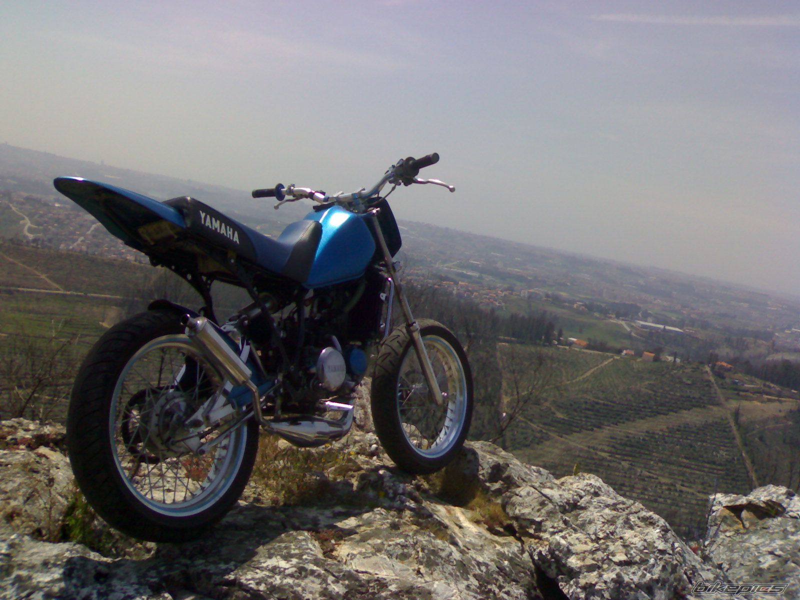 Photo 919188