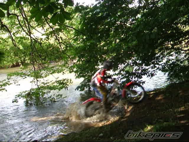 Photo 919268