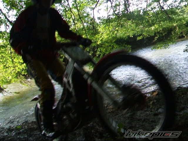 Photo 919270