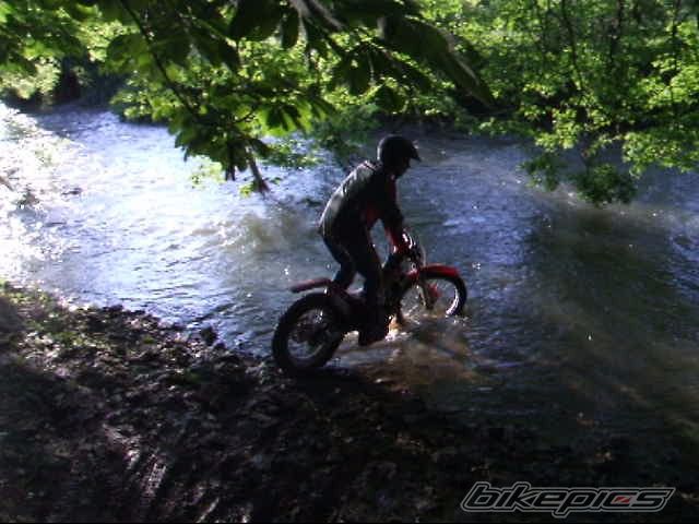Photo 919272