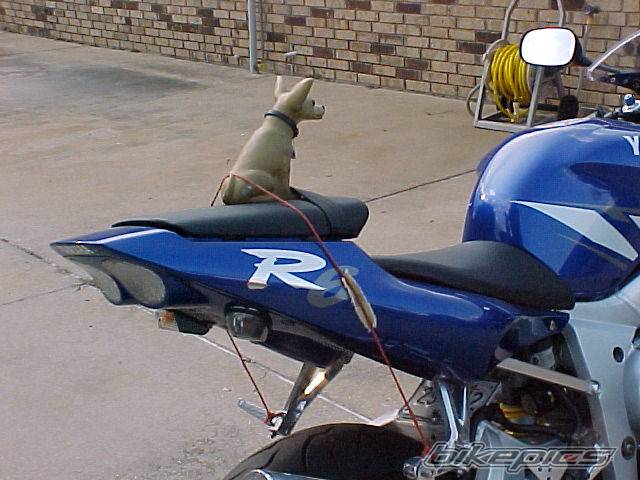 Photo 9193