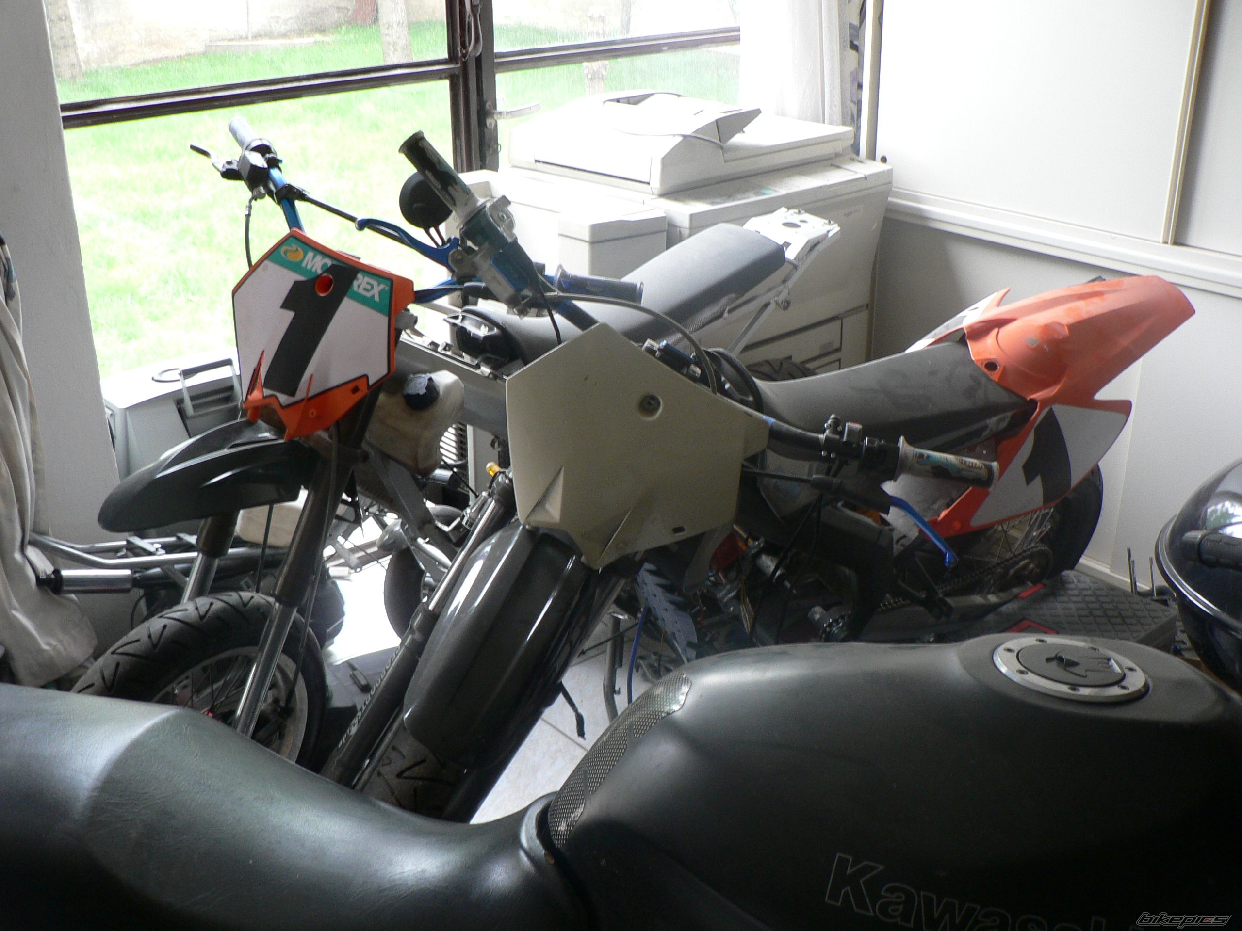 Photo 919529