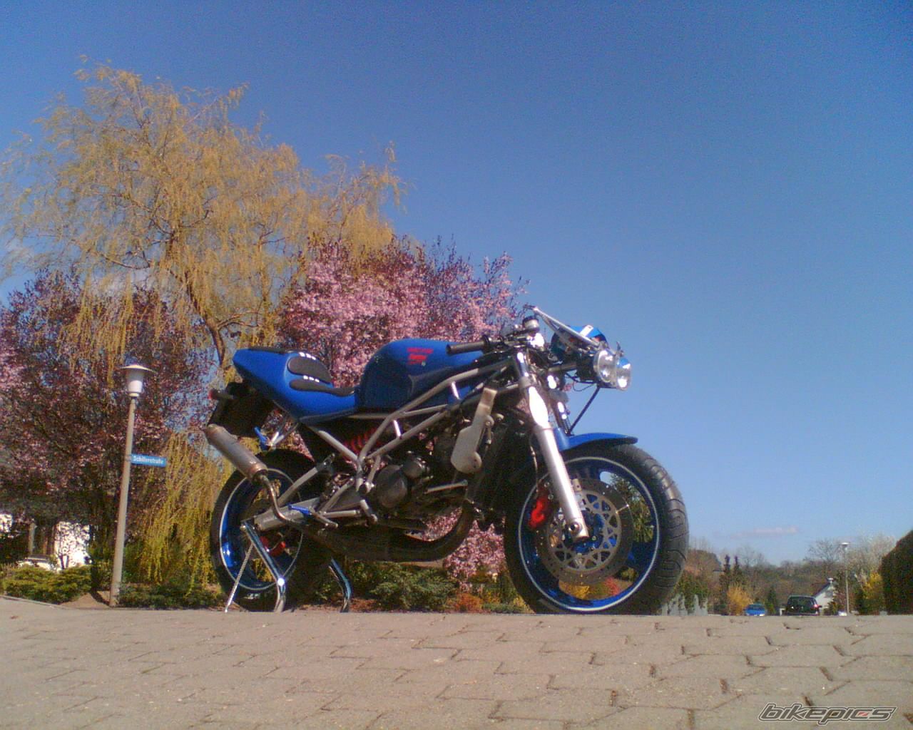 Bike Photo 919565