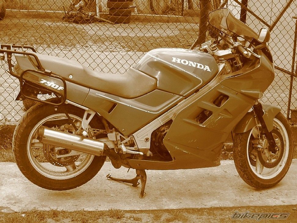Photo 919580