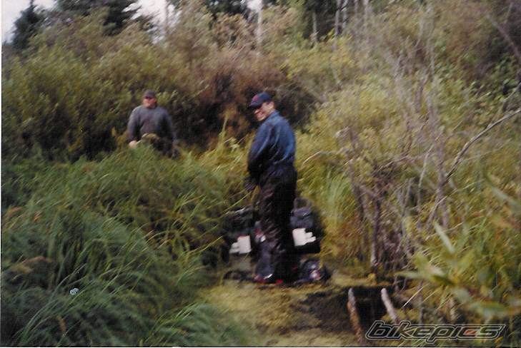 Photo 91968