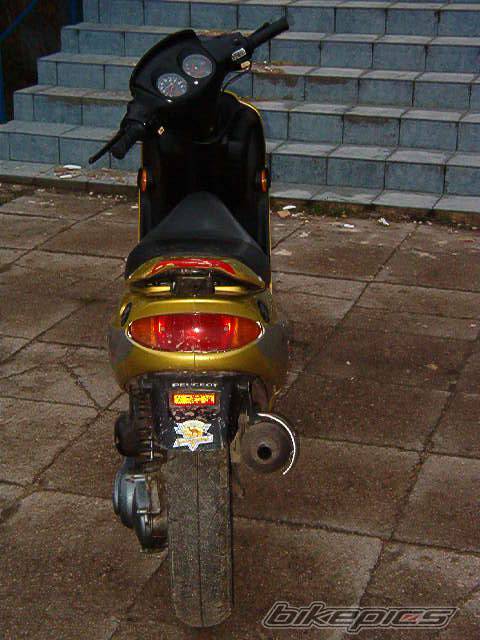 Photo 91974