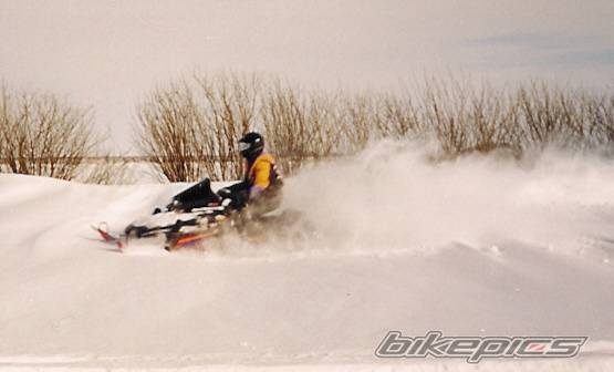 Photo 91975