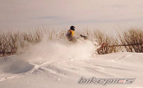 Photo 91978