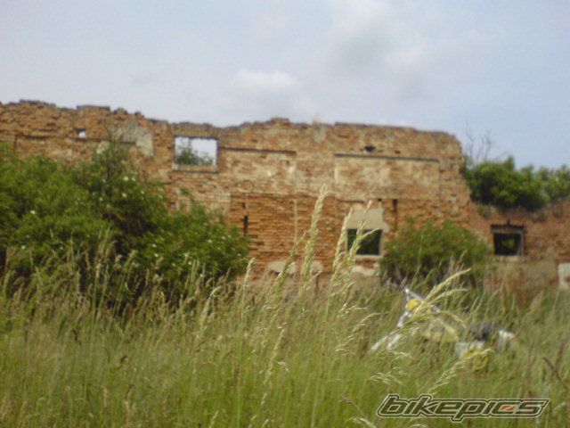 Photo 919786
