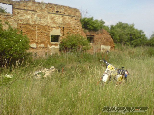 Photo 919788