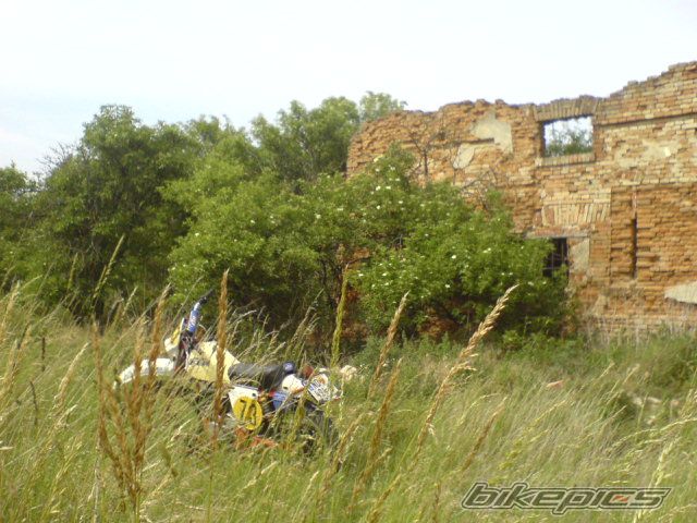 Photo 919790