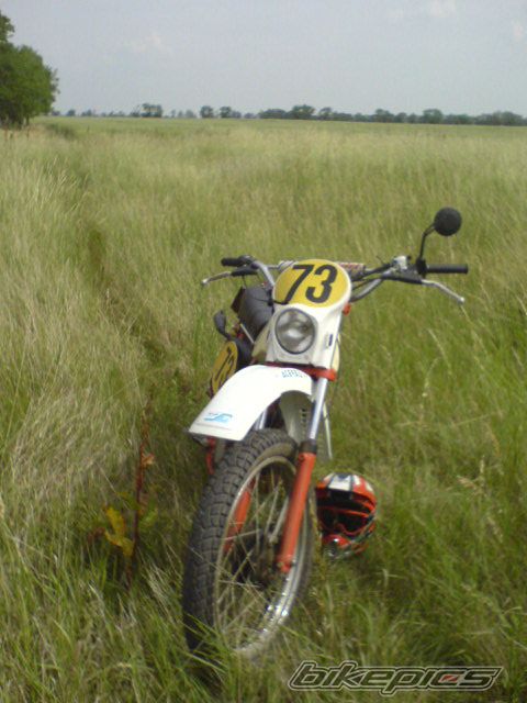 Photo 919801