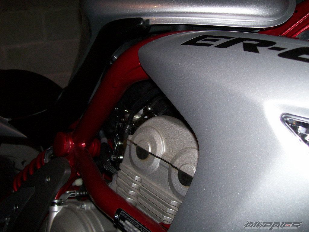 Photo 919907