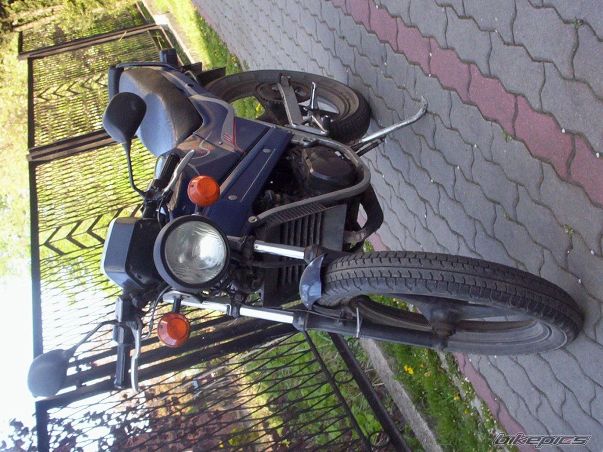 Photo 919950