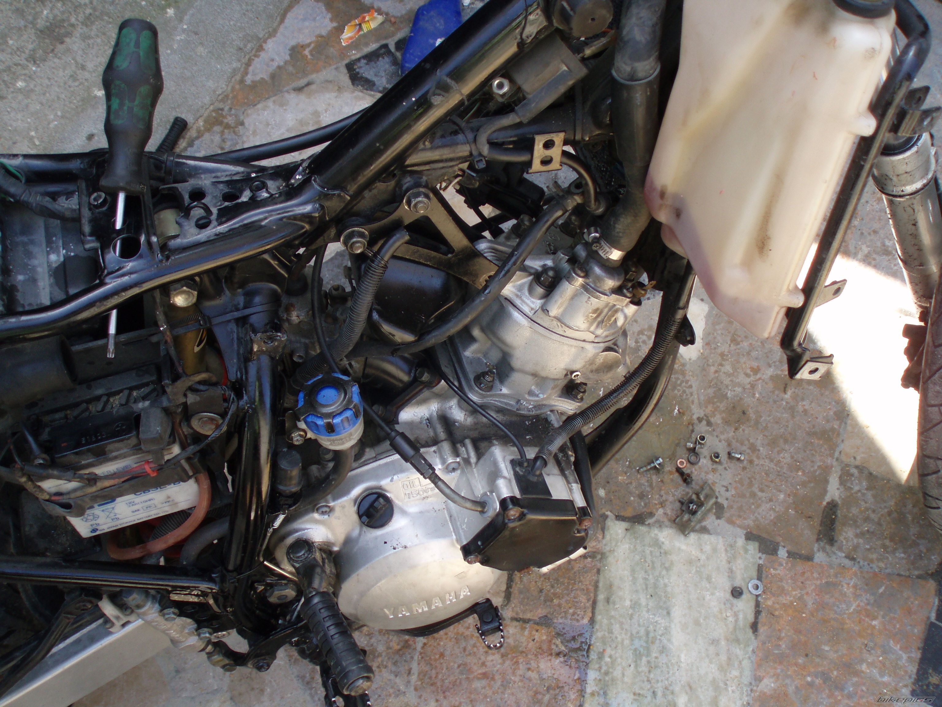 Bike Photo 919952