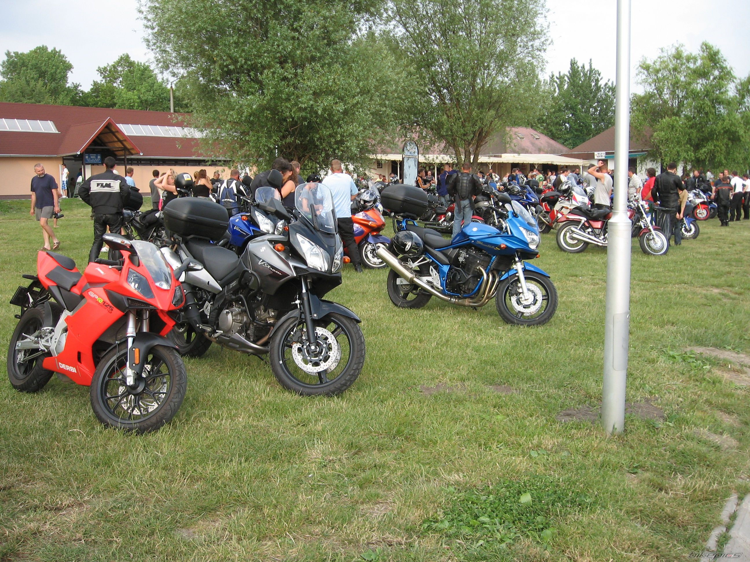 Photo 919971