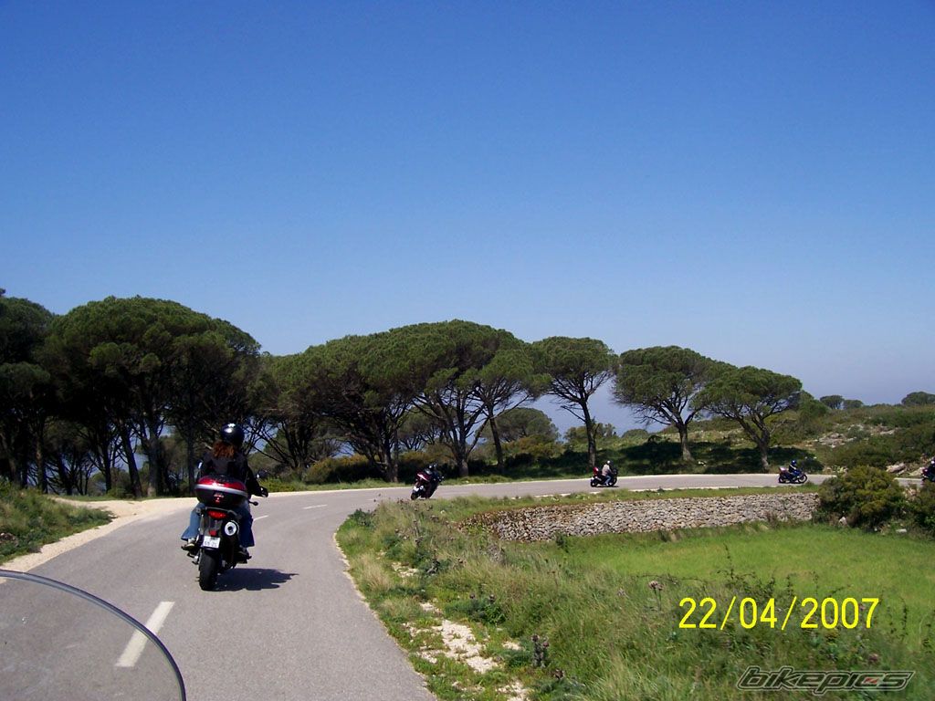 Photo 919982