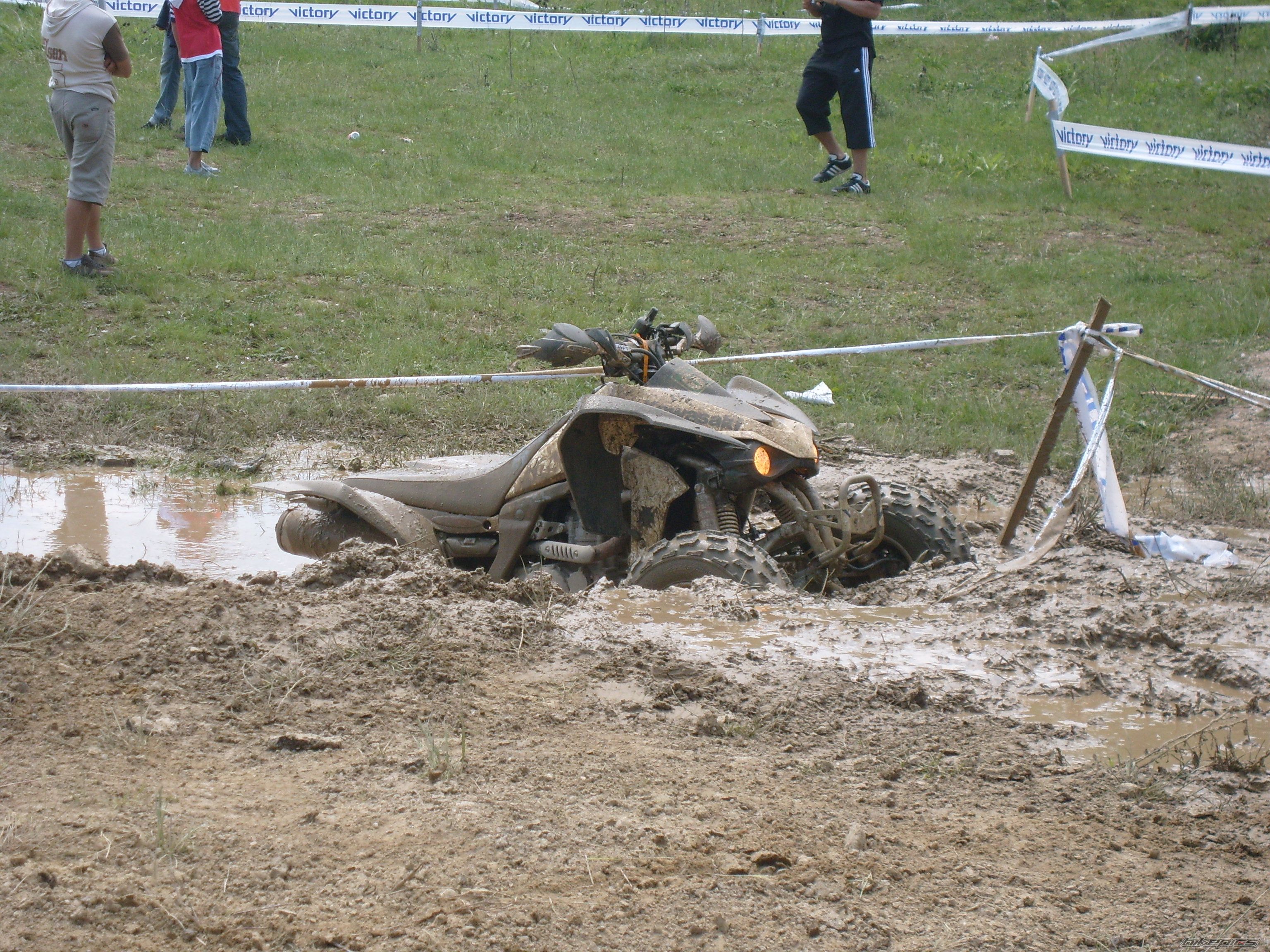 Photo 919997