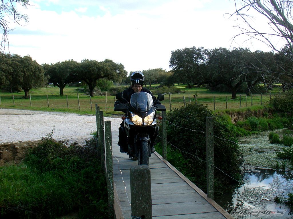 Photo 920056