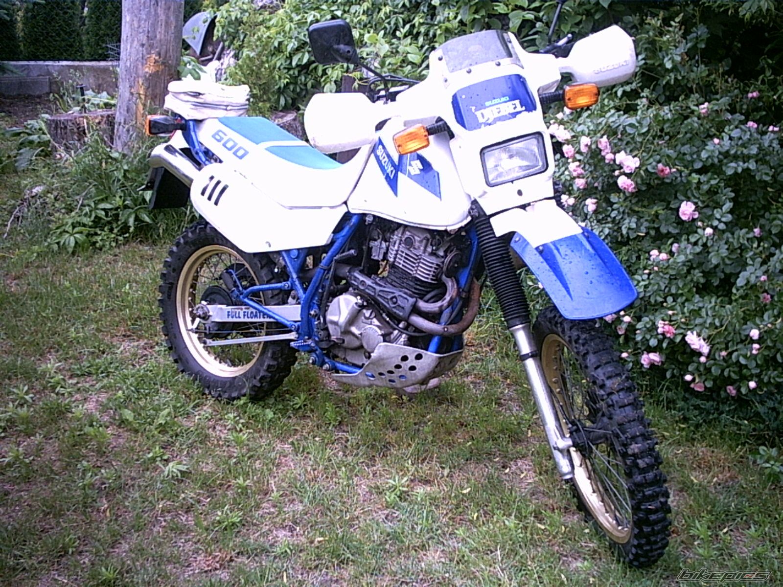 Photo 920204