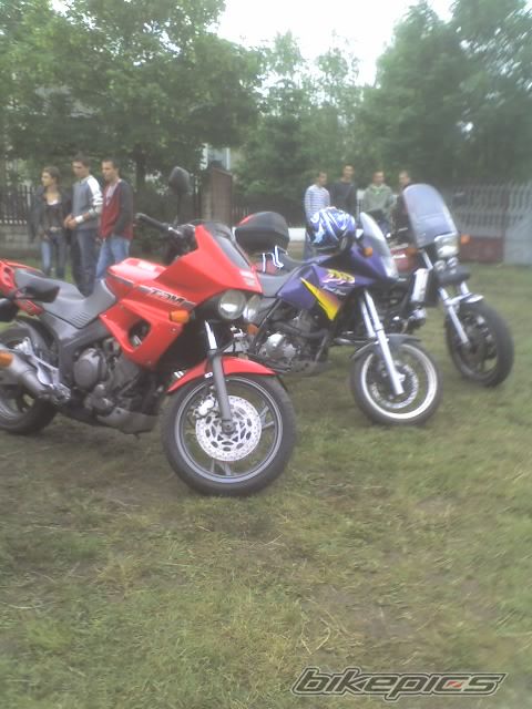 Photo 920206