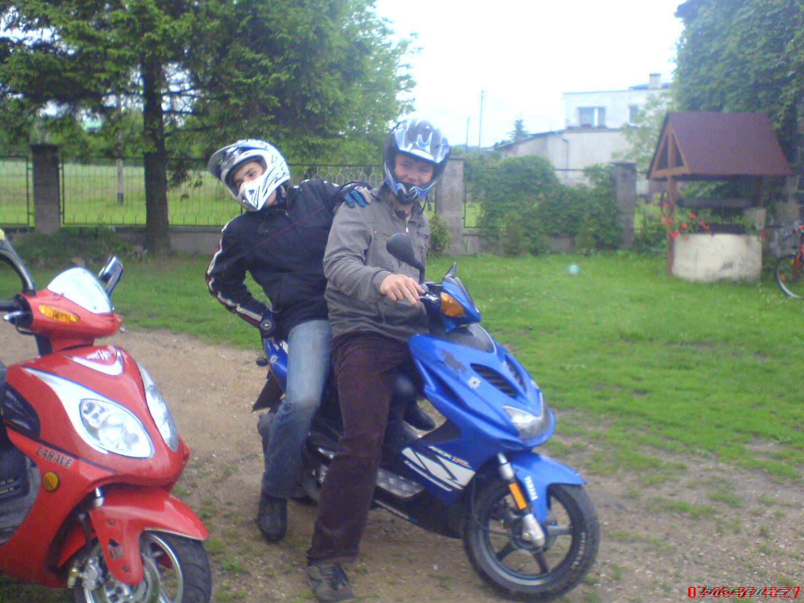 Photo 920234