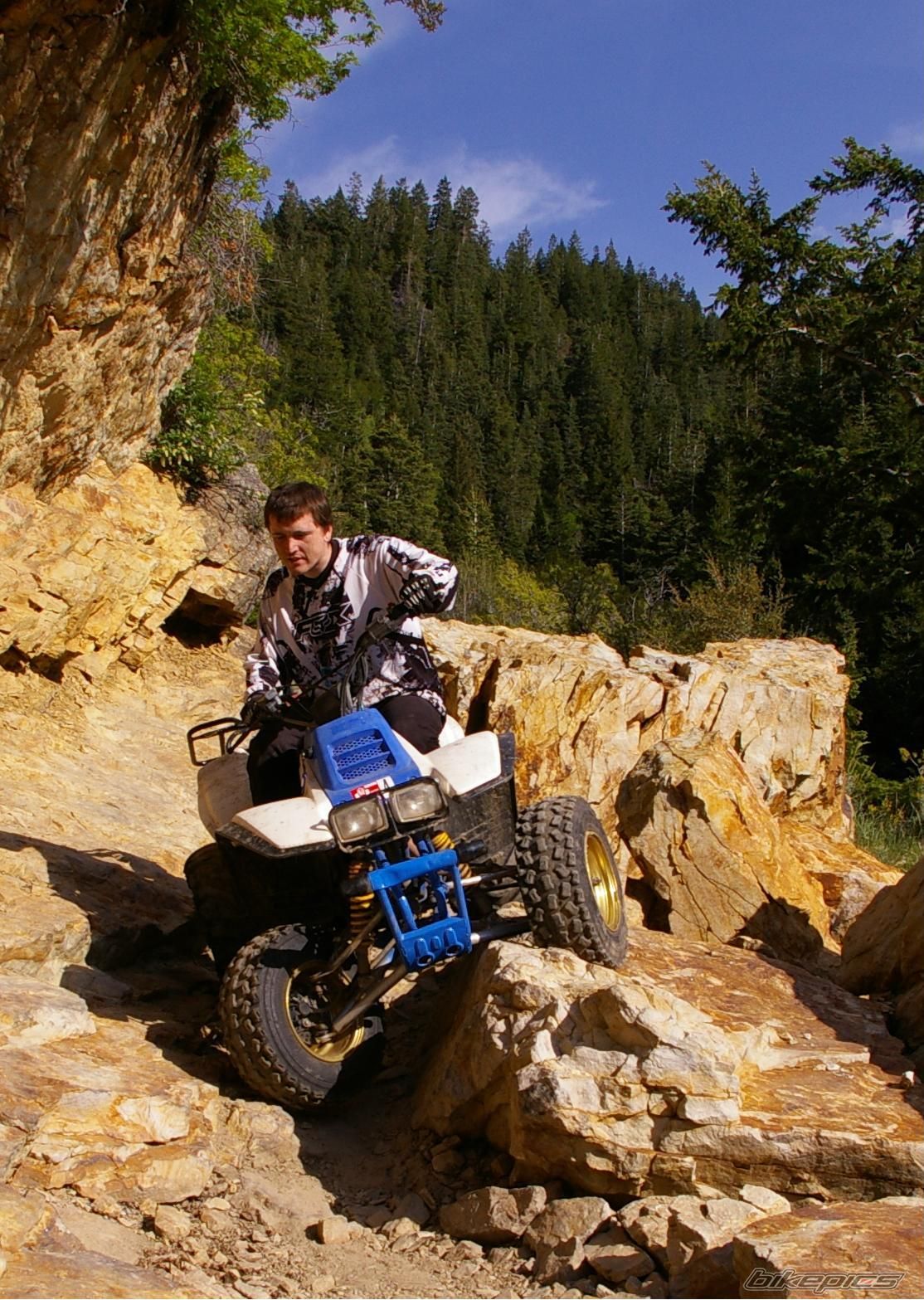 Photo 920273