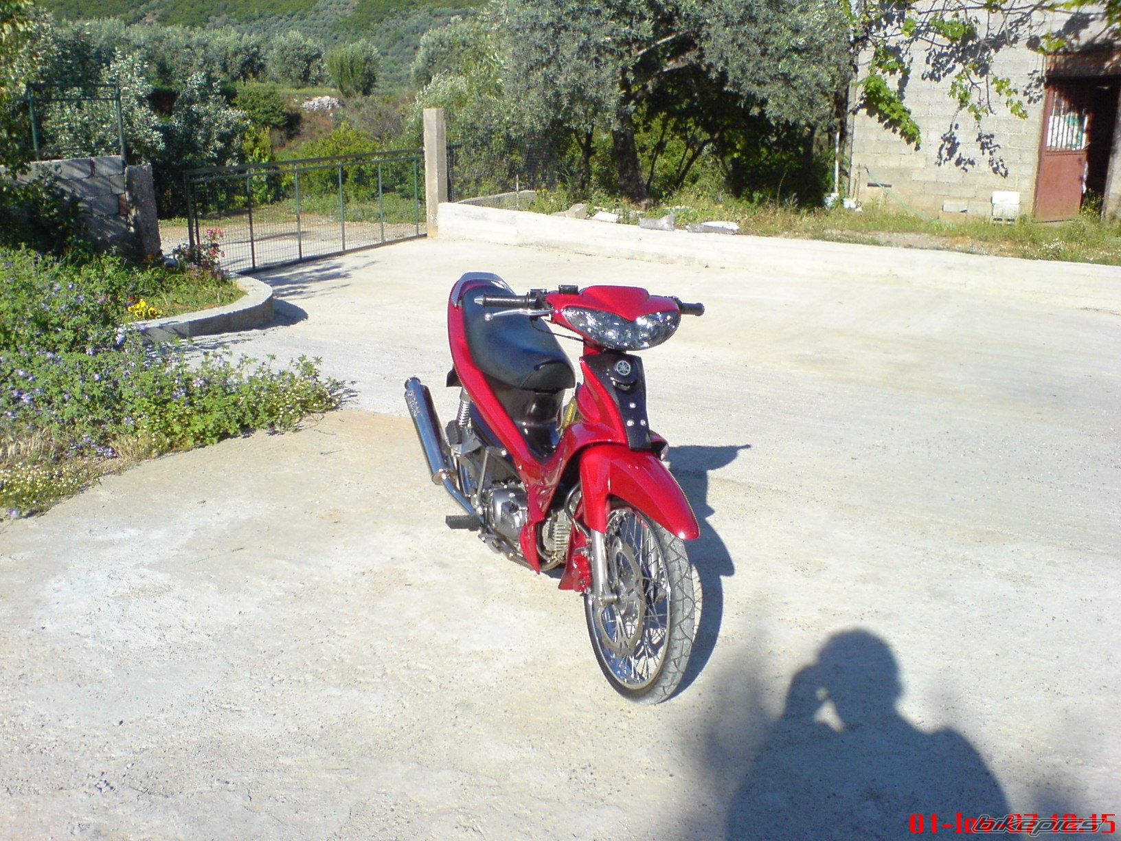 Photo 920304