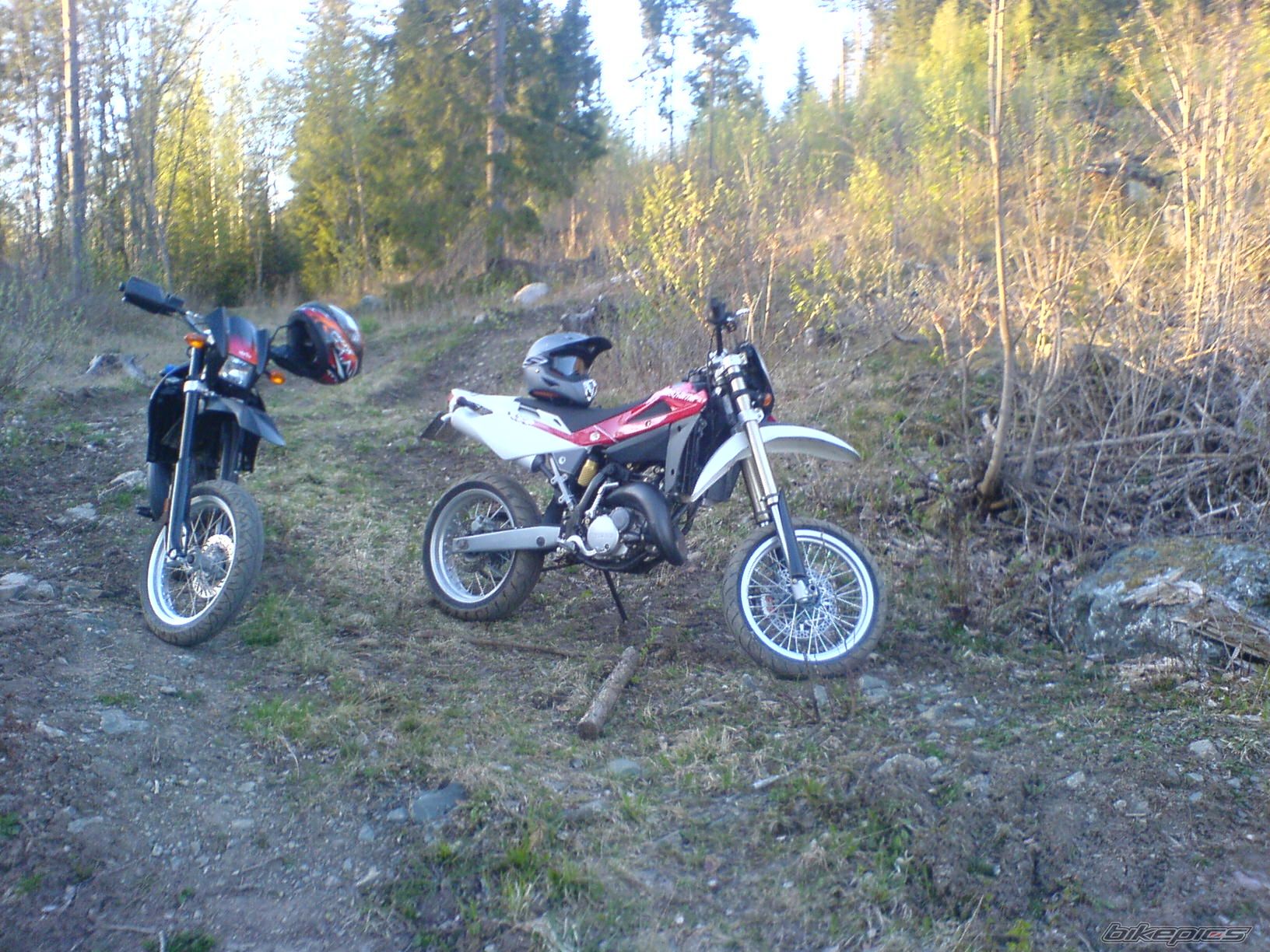Photo 920381