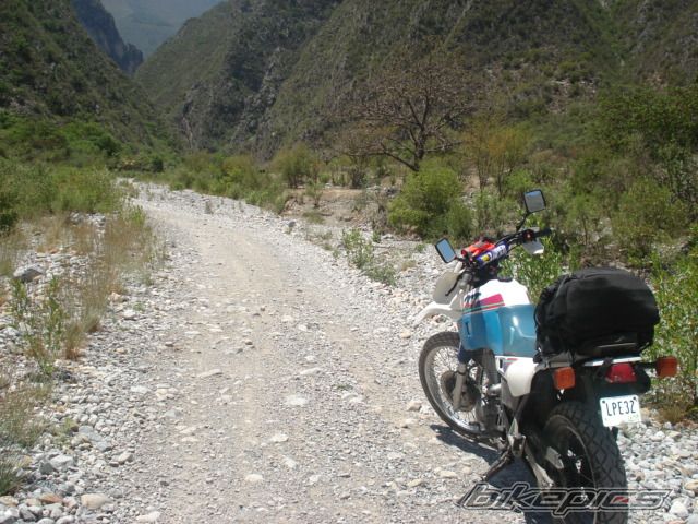 Photo 920416