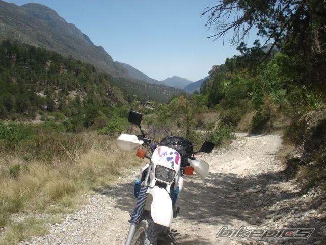 Photo 920419