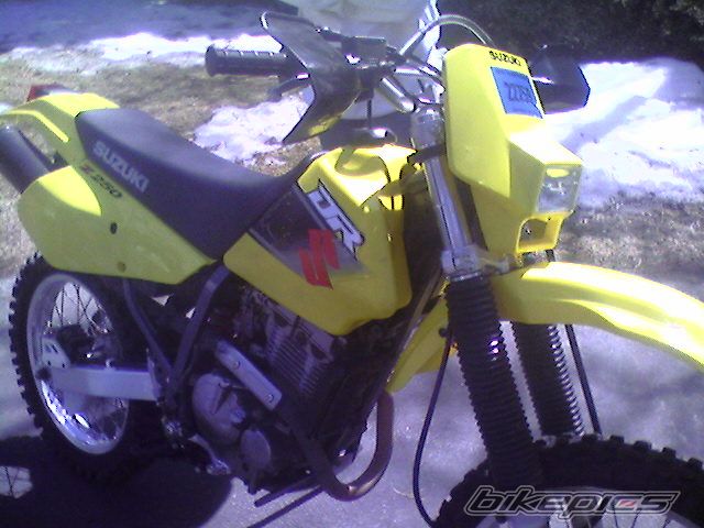 Photo 920420