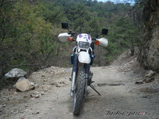 Photo 920422