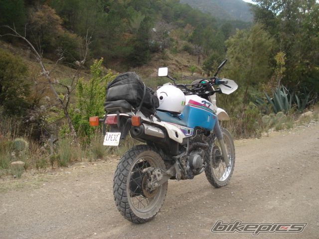 Photo 920424
