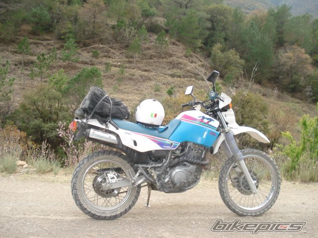 Photo 920426
