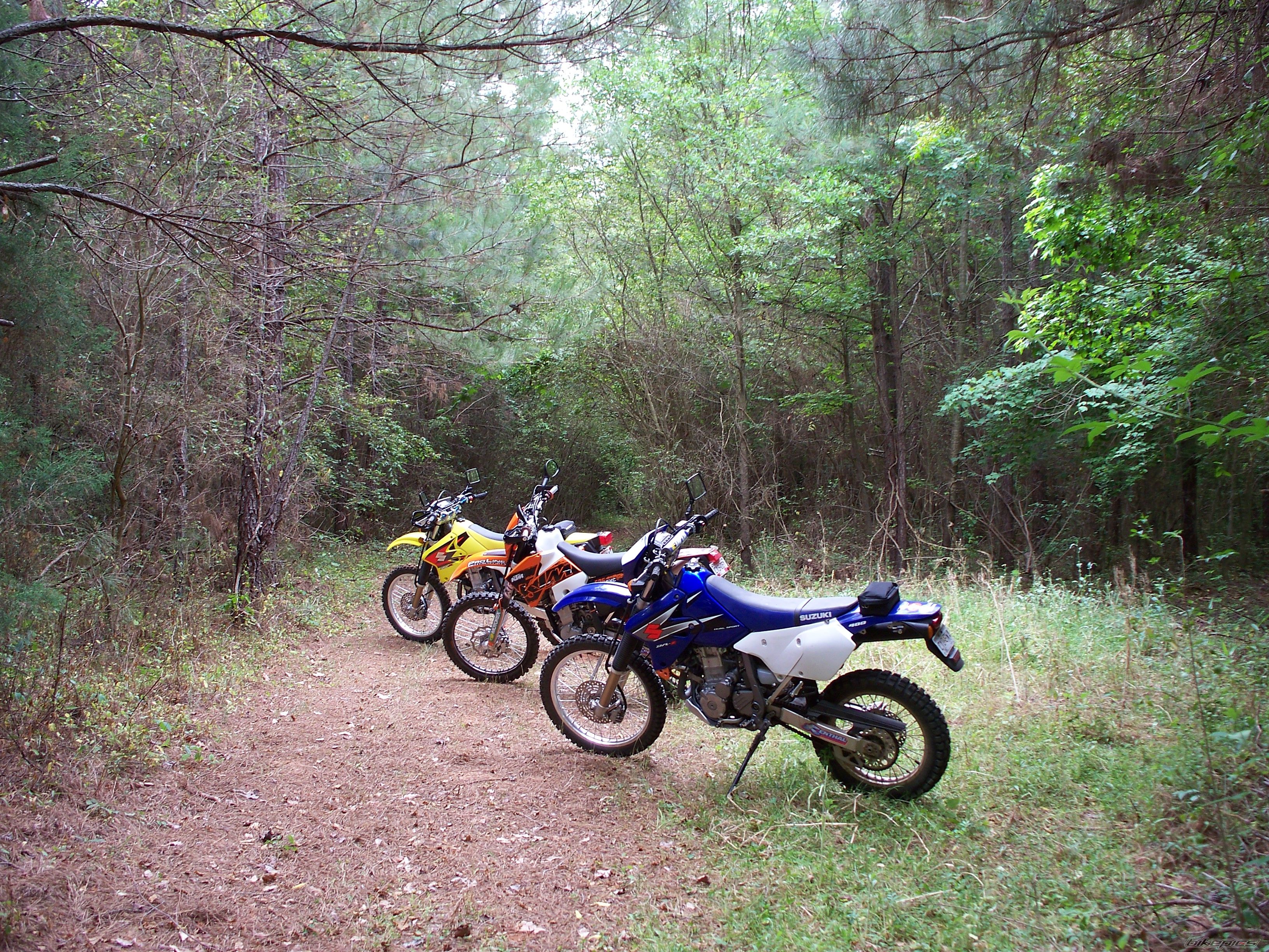 Photo 920509