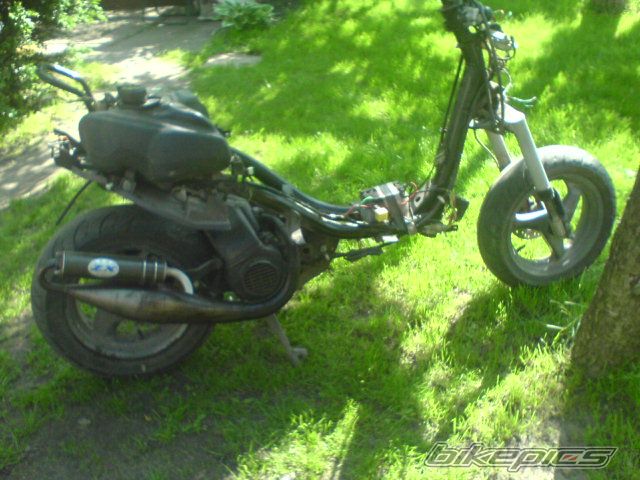 Photo 920554
