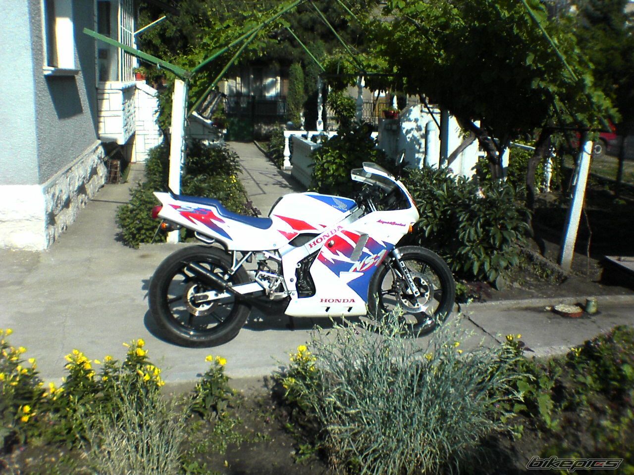 Bike Photo 920593