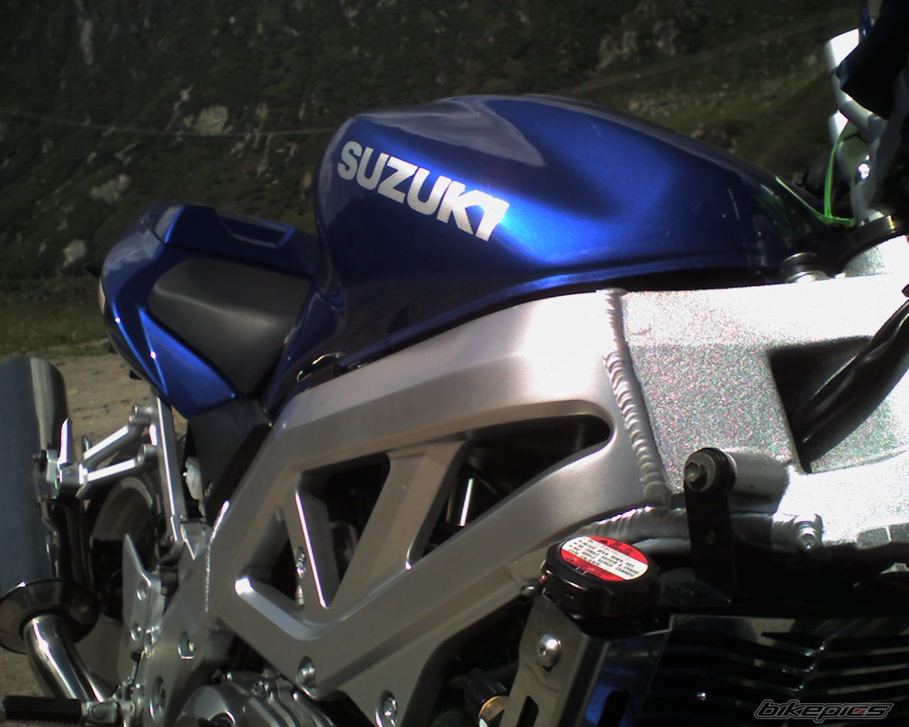 Photo 920628