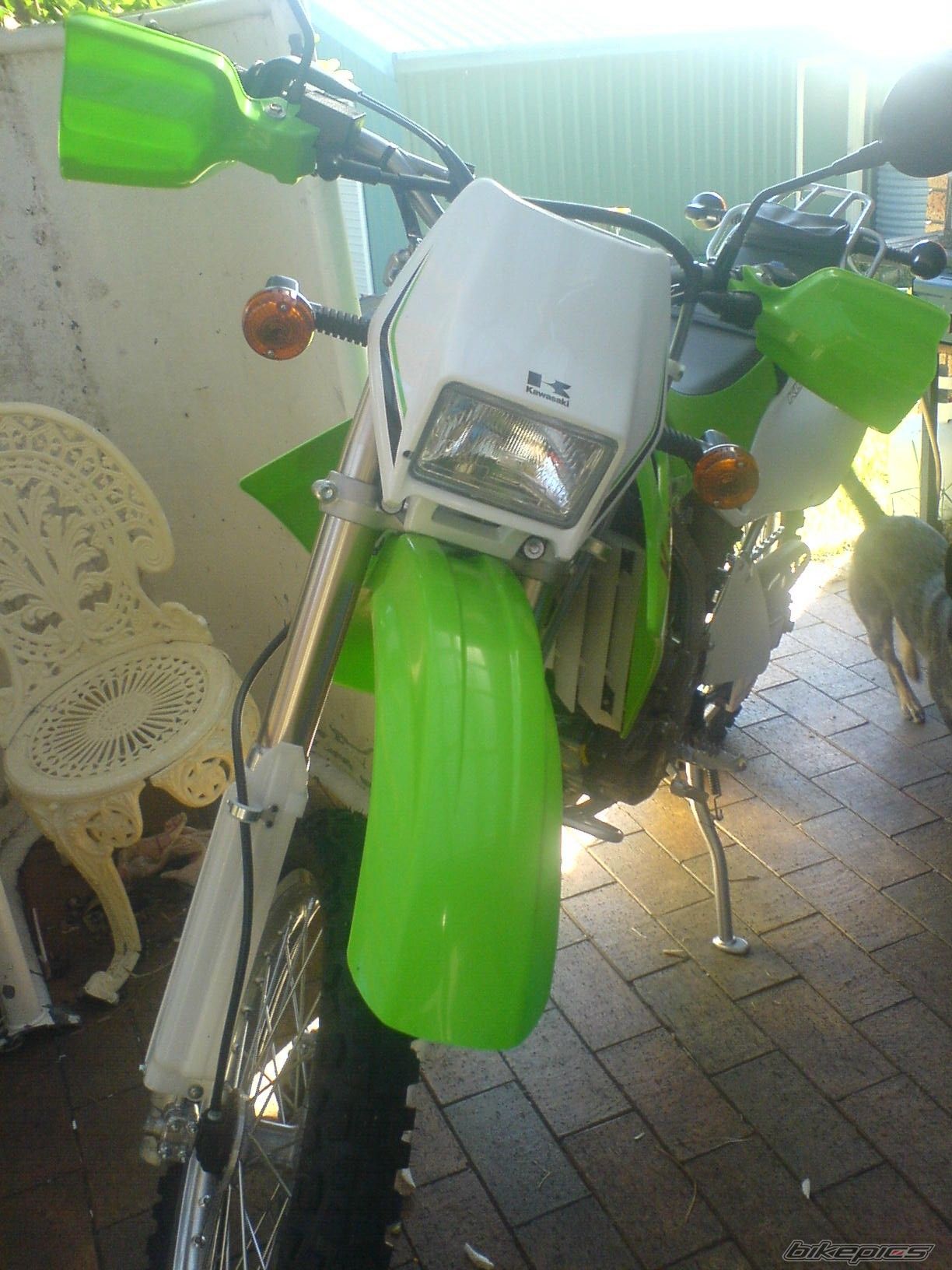 Photo 920663