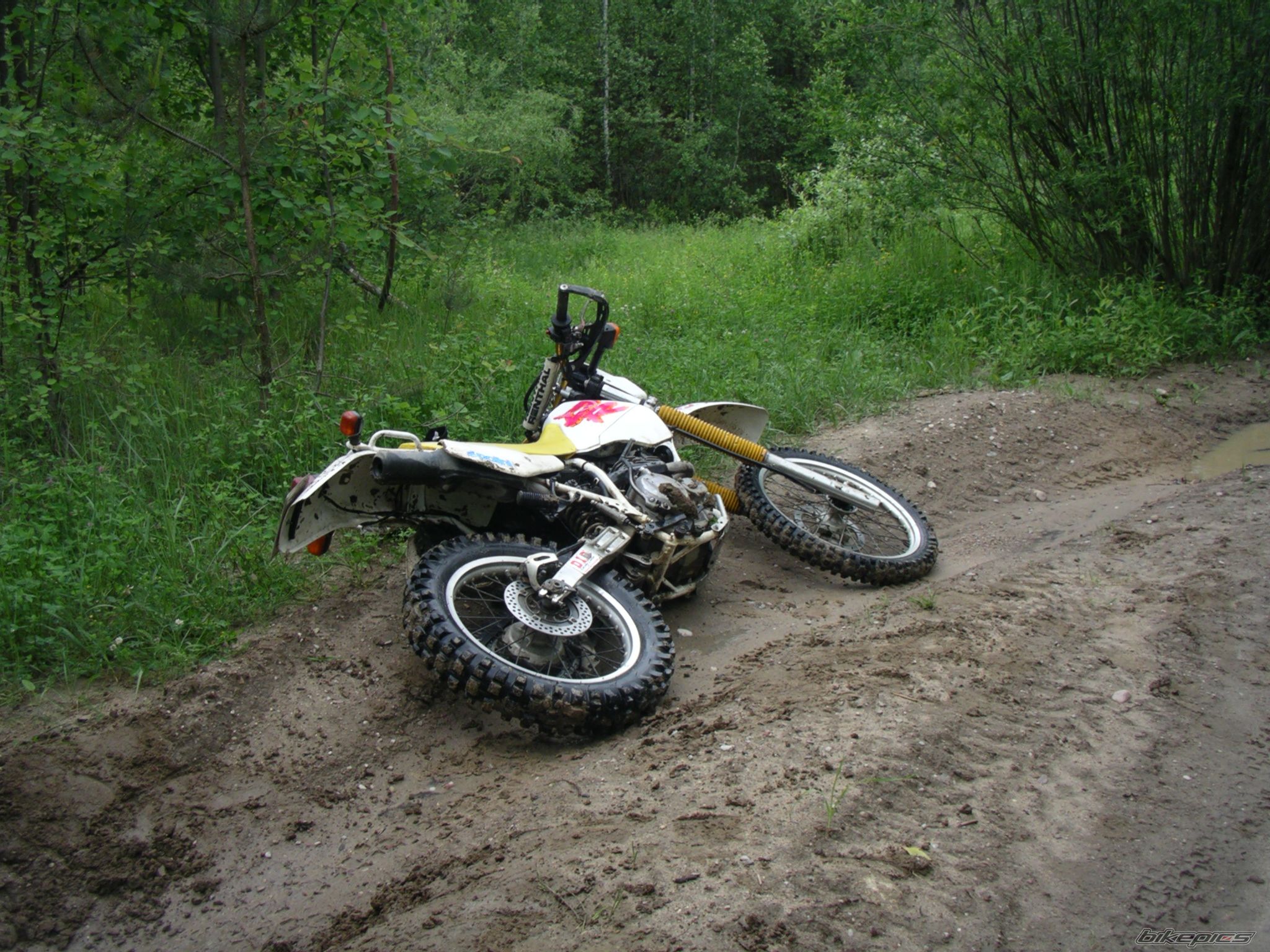 Bike Photo 920814