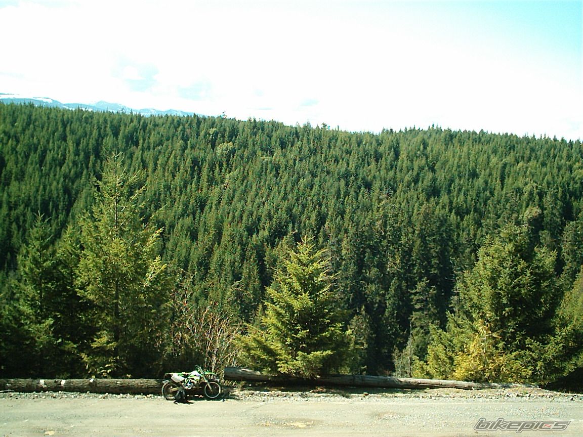 Photo 920873