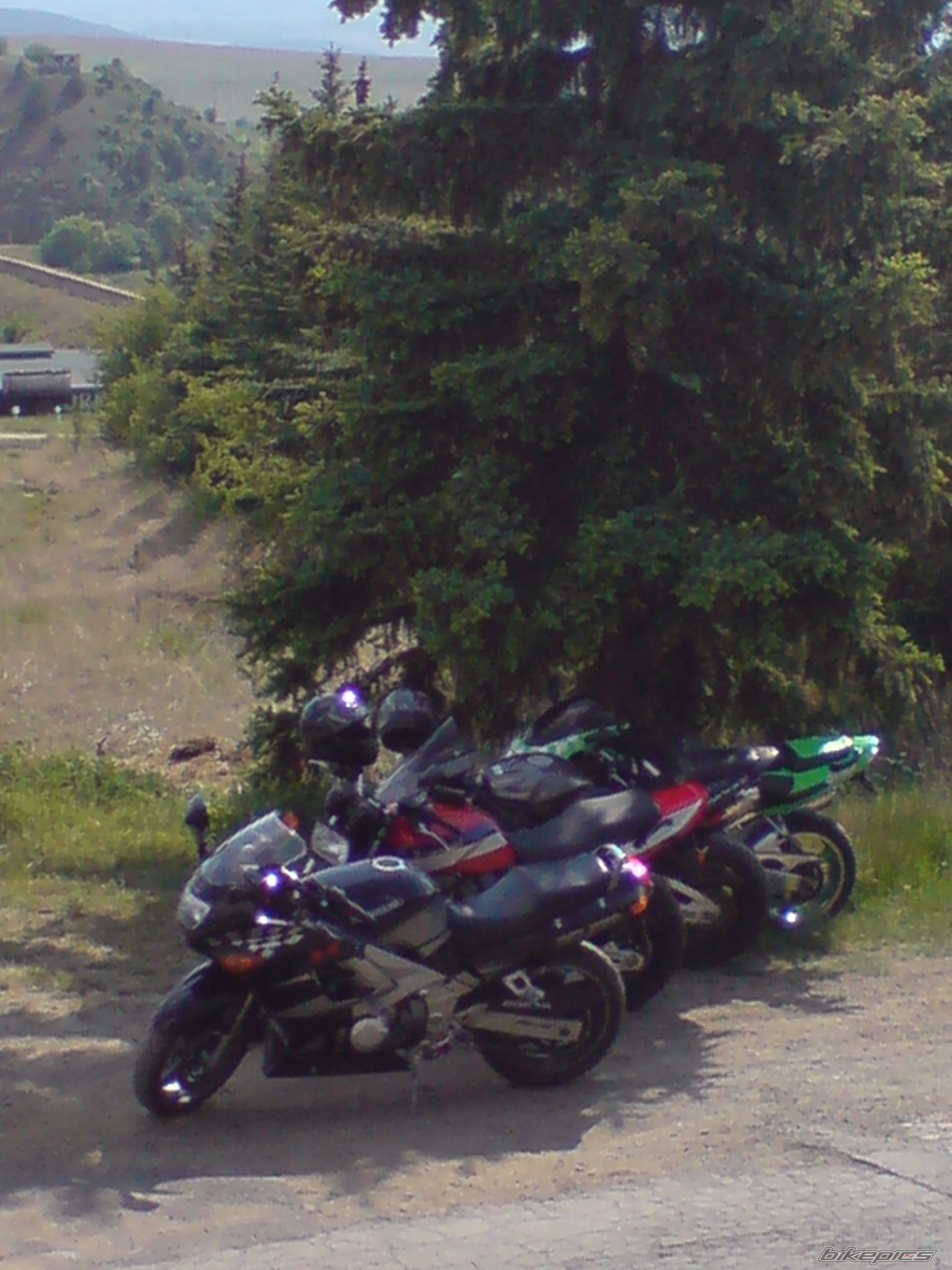 Photo 920924