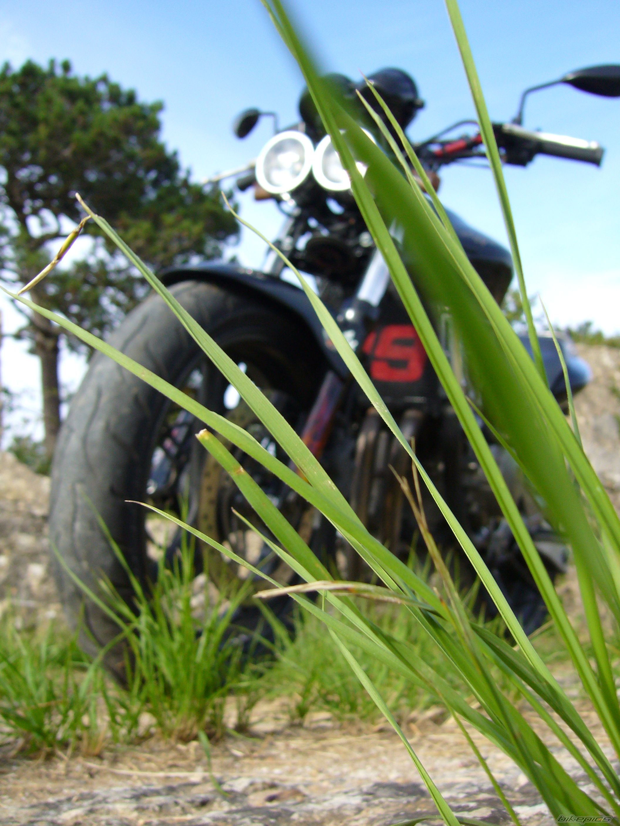 Bike Photo 921051