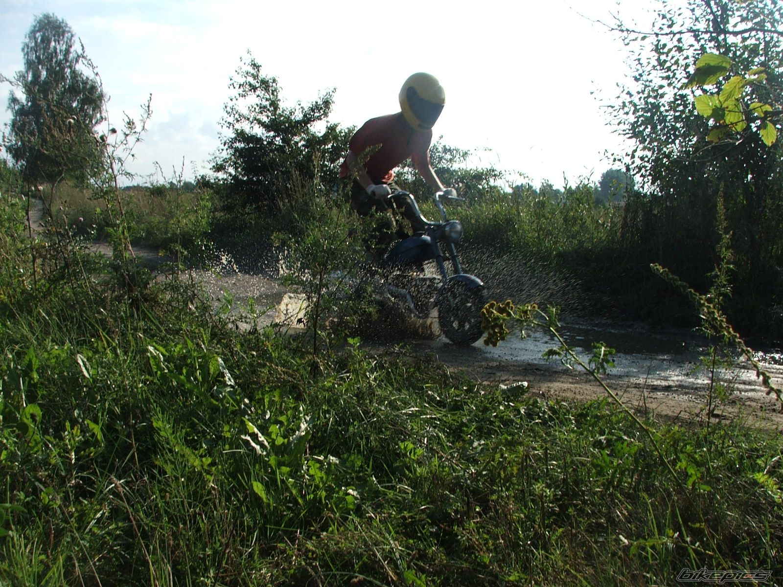 Photo 921108