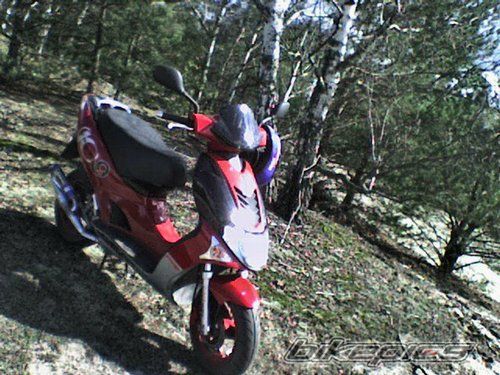 Photo 921217