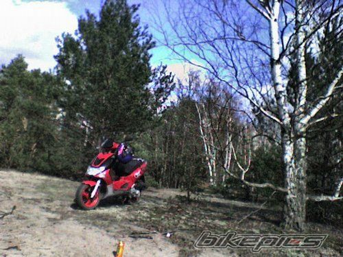 Photo 921218